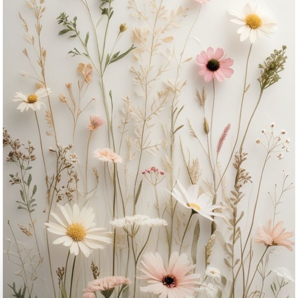 Meet your Posher, Nikki